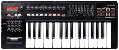 ROLAND A-300PRO фото 5