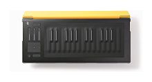 ROLI FLIPCASE AMBER